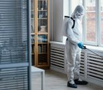 Wie wird Verwesungsgeruch dauerhaft entfernt