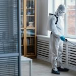 Wie wird Verwesungsgeruch dauerhaft entfernt?