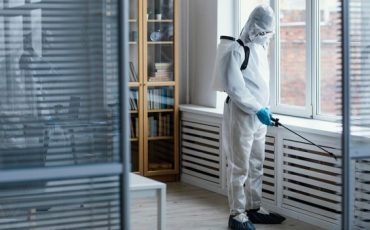 Wie wird Verwesungsgeruch dauerhaft entfernt Wie wird Verwesungsgeruch dauerhaft entfernt