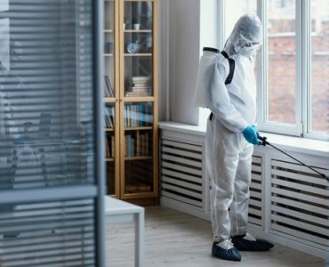 Wie wird Verwesungsgeruch dauerhaft entfernt Wie wird Verwesungsgeruch dauerhaft entfernt