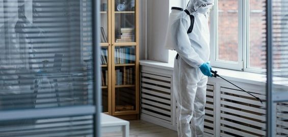 Wie wird Verwesungsgeruch dauerhaft entfernt