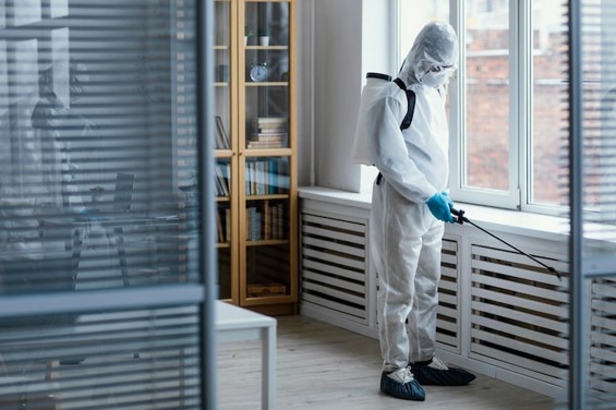 Wie wird Verwesungsgeruch dauerhaft entfernt